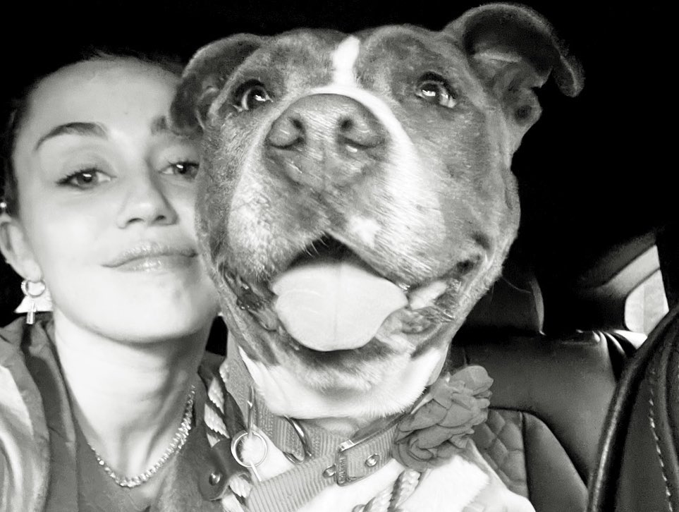 Miley Cyrus Rescues New Dog